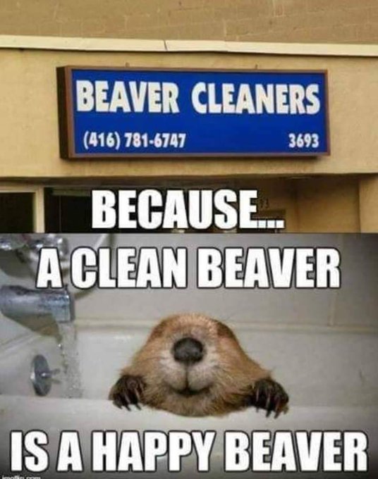 CleanBeaver.jpg